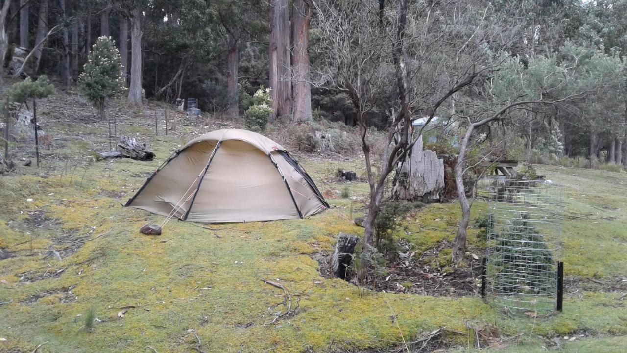 Base Camp Tasmania Hotel New Norfolk Ngoại thất bức ảnh